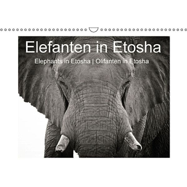 Elefanten in Etosha (Wandkalender 2016 DIN A3 quer), Irma van der Wiel