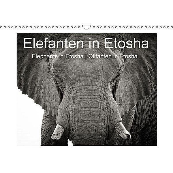 Elefanten in Etosha (Wandkalender 2017 DIN A3 quer), Irma van der Wiel, Irma van der Wiel