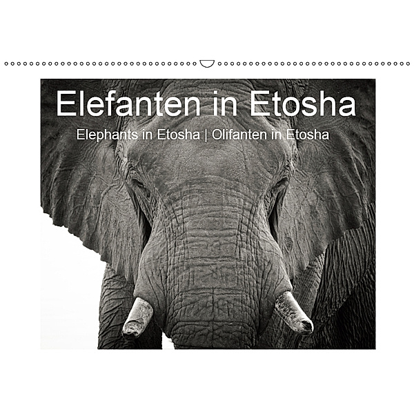 Elefanten in Etosha (Wandkalender 2019 DIN A2 quer), Irma van der Wiel