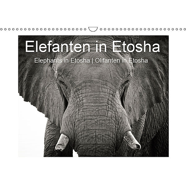 Elefanten in Etosha (Wandkalender 2019 DIN A3 quer), Irma van der Wiel