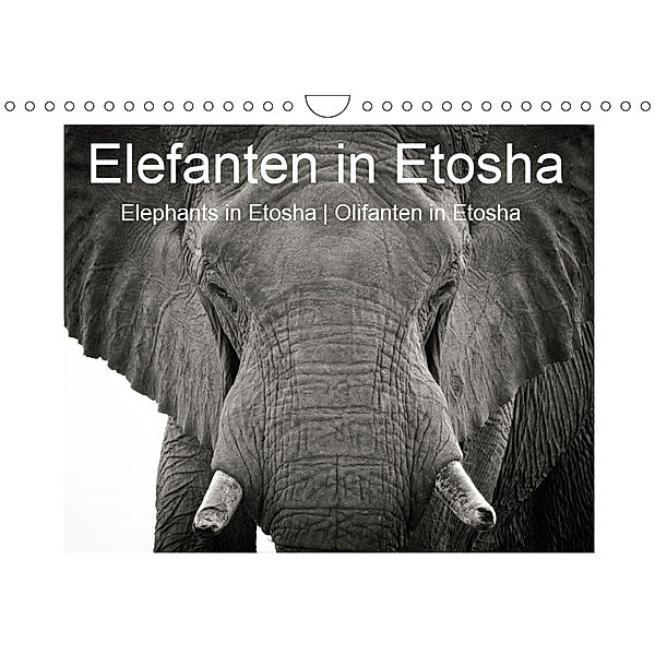 Elefanten in Etosha (Wandkalender 2019 DIN A4 quer), Irma van der Wiel