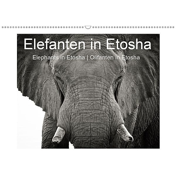 Elefanten in Etosha (Wandkalender 2020 DIN A2 quer), Irma van der Wiel