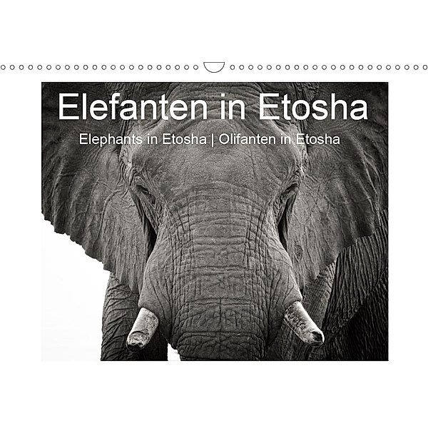Elefanten in Etosha (Wandkalender 2020 DIN A3 quer), Irma van der Wiel