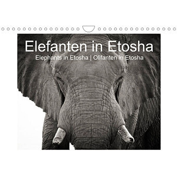 Elefanten in Etosha (Wandkalender 2022 DIN A4 quer), Irma van der Wiel