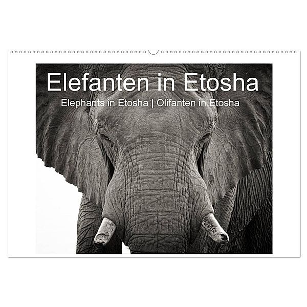 Elefanten in Etosha (Wandkalender 2024 DIN A2 quer), CALVENDO Monatskalender, Irma van der Wiel