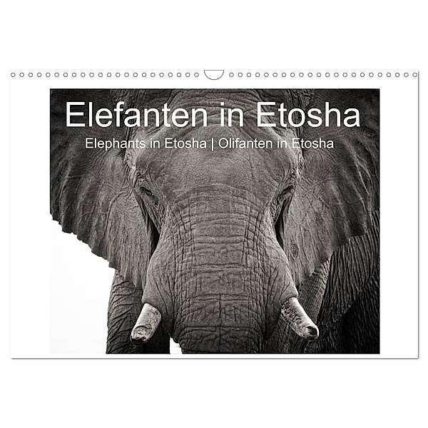 Elefanten in Etosha (Wandkalender 2024 DIN A3 quer), CALVENDO Monatskalender, Irma van der Wiel