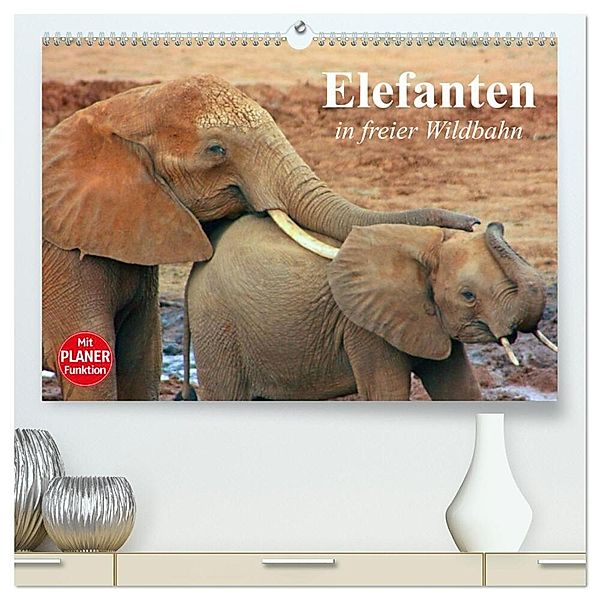 Elefanten in freier Wildbahn (hochwertiger Premium Wandkalender 2024 DIN A2 quer), Kunstdruck in Hochglanz, Elisabeth Stanzer