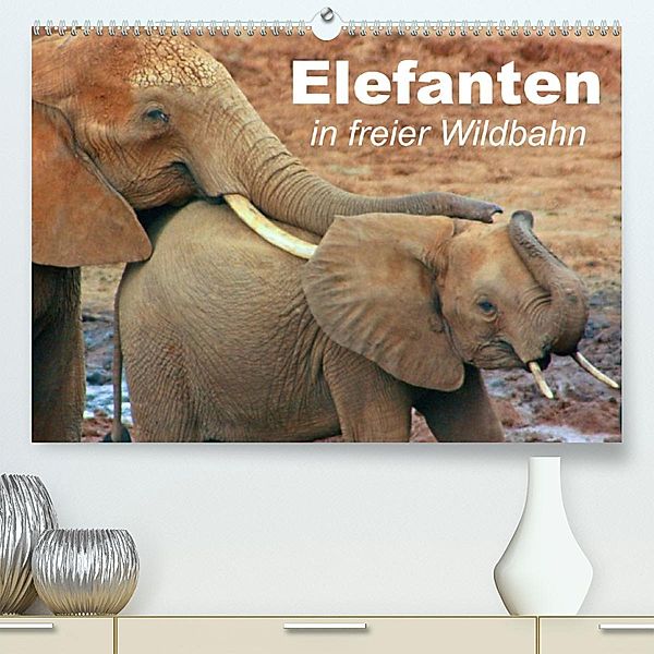 Elefanten in freier Wildbahn (Premium, hochwertiger DIN A2 Wandkalender 2023, Kunstdruck in Hochglanz), Elisabeth Stanzer