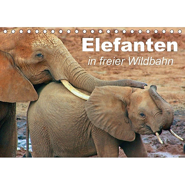 Elefanten in freier Wildbahn (Tischkalender 2020 DIN A5 quer), Elisabeth Stanzer