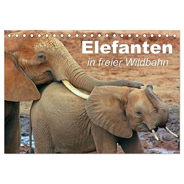 Elefanten in freier Wildbahn (Tischkalender 2024 DIN A5 quer), CALVENDO Monatskalender, Elisabeth Stanzer