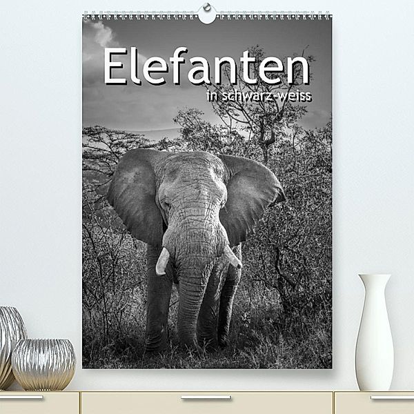 Elefanten in schwarz-weiss (Premium, hochwertiger DIN A2 Wandkalender 2023, Kunstdruck in Hochglanz), Robert Styppa