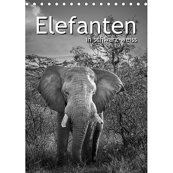 Elefanten in schwarz-weiss (Tischkalender 2018 DIN A5 hoch), ROBERT STYPPA
