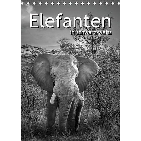 Elefanten in schwarz-weiss (Tischkalender 2020 DIN A5 hoch), ROBERT STYPPA