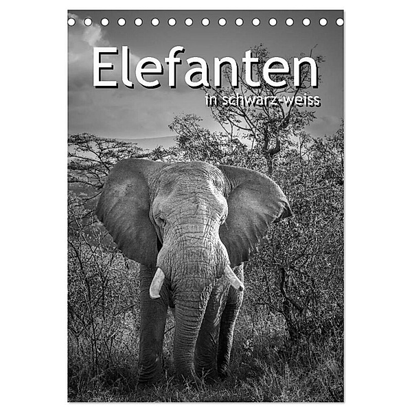 Elefanten in schwarz-weiss (Tischkalender 2024 DIN A5 hoch), CALVENDO Monatskalender, Robert Styppa