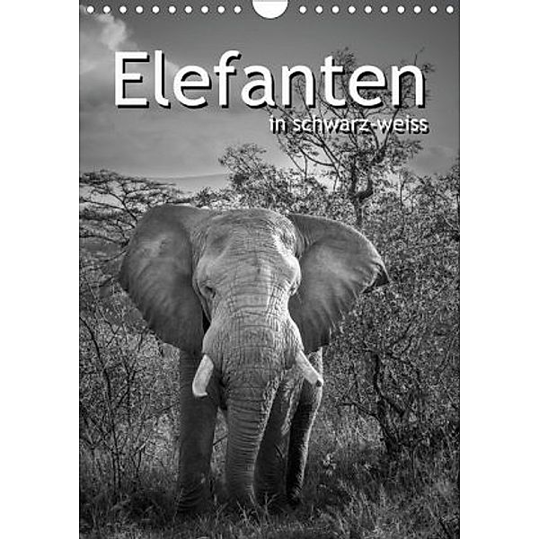 Elefanten in schwarz-weiss (Wandkalender 2020 DIN A4 hoch), ROBERT STYPPA