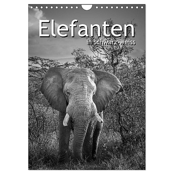 Elefanten in schwarz-weiss (Wandkalender 2024 DIN A4 hoch), CALVENDO Monatskalender, Robert Styppa