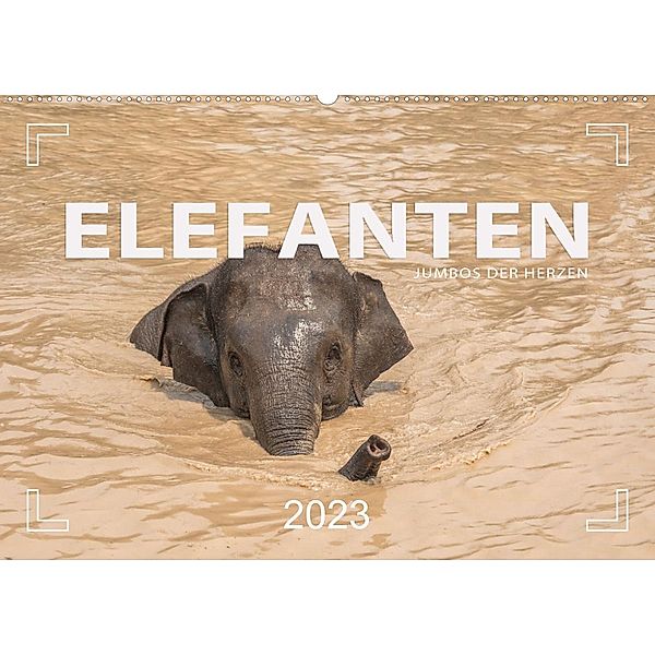 ELEFANTEN  Jumbos der Herzen (Wandkalender 2023 DIN A2 quer), Mario Weigt