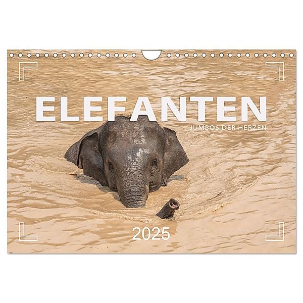 ELEFANTEN Jumbos der Herzen (Wandkalender 2025 DIN A4 quer), CALVENDO Monatskalender, Calvendo, Mario Weigt