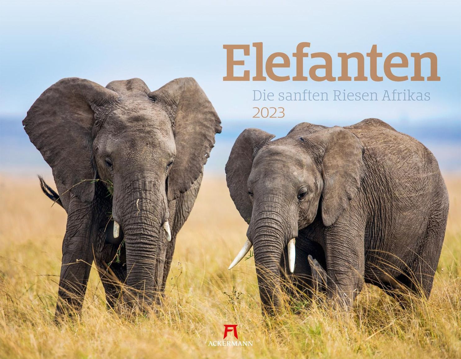 Elefanten Kalender 2023 - Kalender bei Weltbild.de bestellen