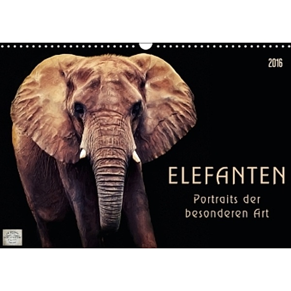 Elefanten - Portraits der besonderen Art (Wandkalender 2016 DIN A3 quer), Angela Dölling