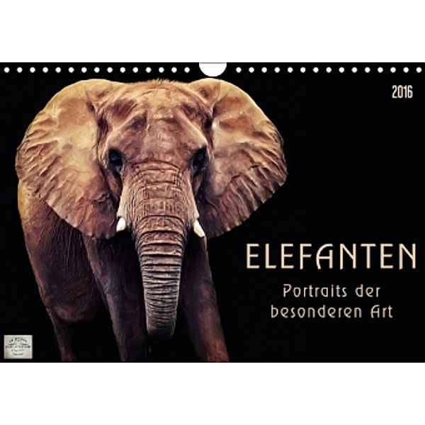 Elefanten - Portraits der besonderen Art (Wandkalender 2016 DIN A4 quer), Angela Dölling
