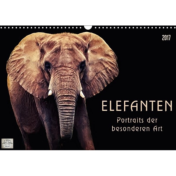 Elefanten - Portraits der besonderen Art (Wandkalender 2017 DIN A3 quer), Angela Dölling