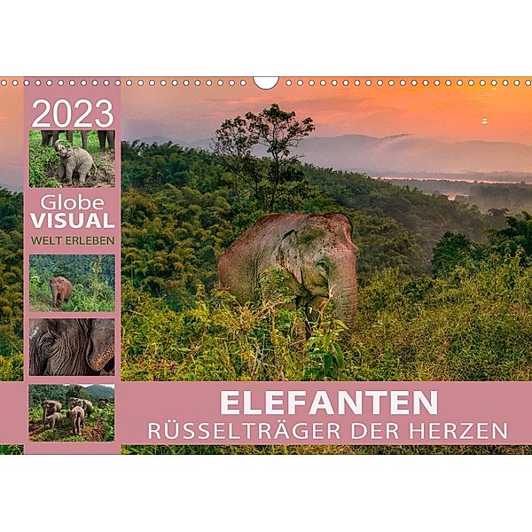 ELEFANTEN - Rüsselträger der Herzen (Wandkalender 2023 DIN A3 quer), Globe VISUAL