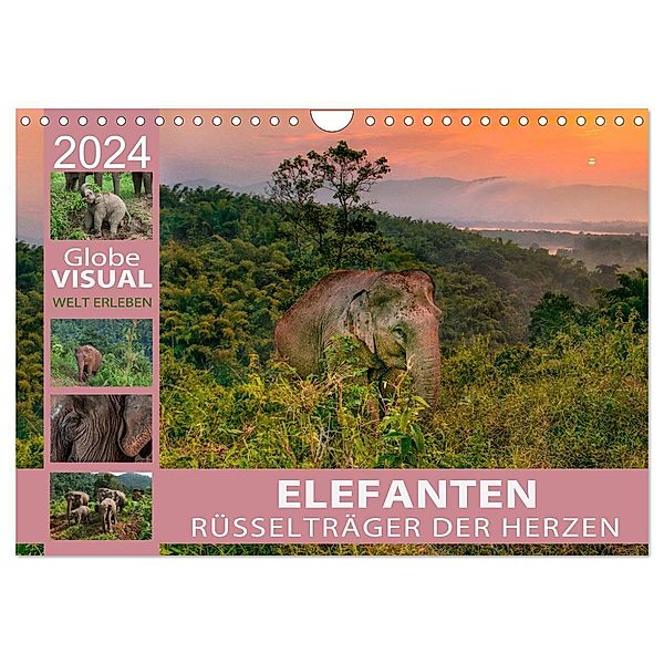 ELEFANTEN - Rüsselträger der Herzen (Wandkalender 2024 DIN A4 quer), CALVENDO Monatskalender, Globe VISUAL