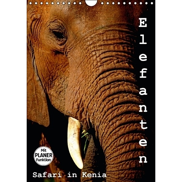 Elefanten. Safari in Kenia (Wandkalender 2016 DIN A4 hoch), Susan Michel /CH