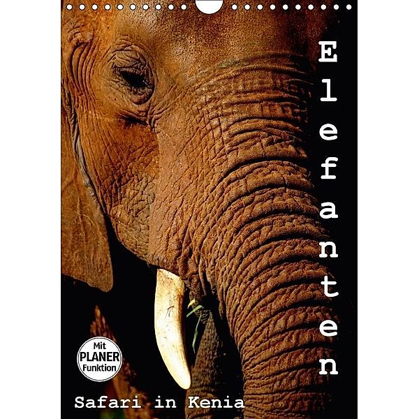 Elefanten. Safari in Kenia (Wandkalender 2017 DIN A4 hoch), Susan Michel /CH