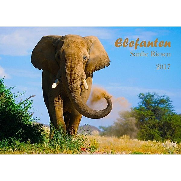 Elefanten - Sanfte Riesen 2017