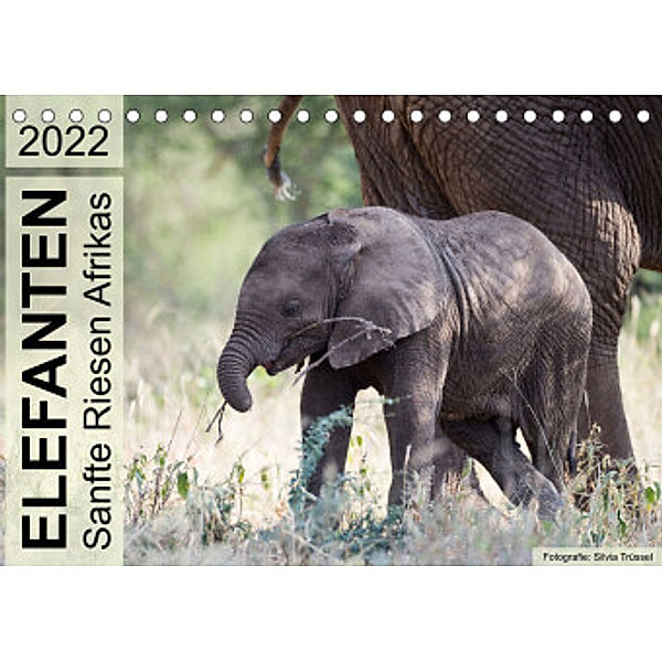 Elefanten - Sanfte Riesen Afrikas (Tischkalender 2022 DIN A5 quer), Silvia Trüssel