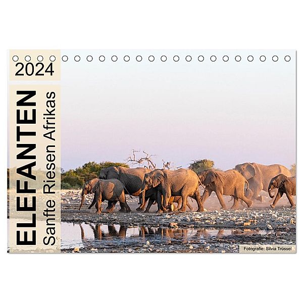 Elefanten - Sanfte Riesen Afrikas (Tischkalender 2024 DIN A5 quer), CALVENDO Monatskalender, Silvia Trüssel