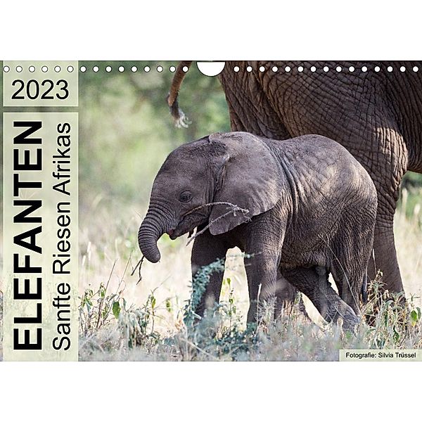 Elefanten - Sanfte Riesen Afrikas (Wandkalender 2023 DIN A4 quer), Silvia Trüssel
