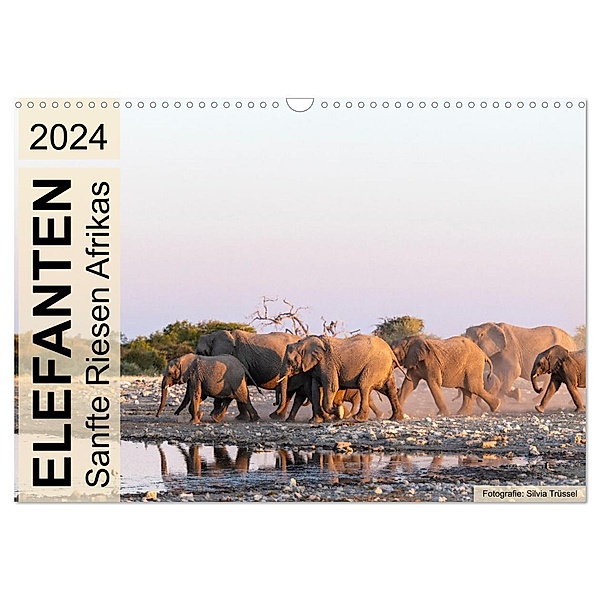 Elefanten - Sanfte Riesen Afrikas (Wandkalender 2024 DIN A3 quer), CALVENDO Monatskalender, Silvia Trüssel