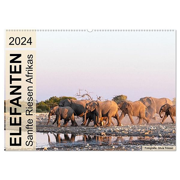 Elefanten - Sanfte Riesen Afrikas (Wandkalender 2024 DIN A2 quer), CALVENDO Monatskalender, Silvia Trüssel