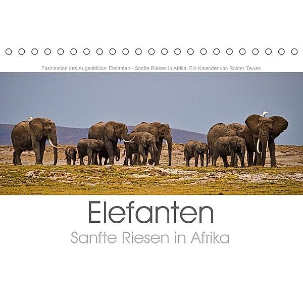 Elefanten - Sanfte Riesen in Afrika (Tischkalender 2017 DIN A5 quer), Rainer Tewes