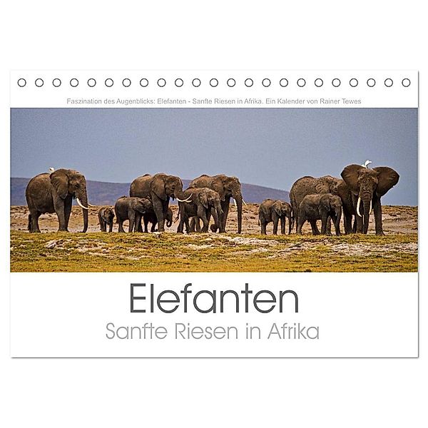 Elefanten - Sanfte Riesen in Afrika (Tischkalender 2024 DIN A5 quer), CALVENDO Monatskalender, Rainer Tewes