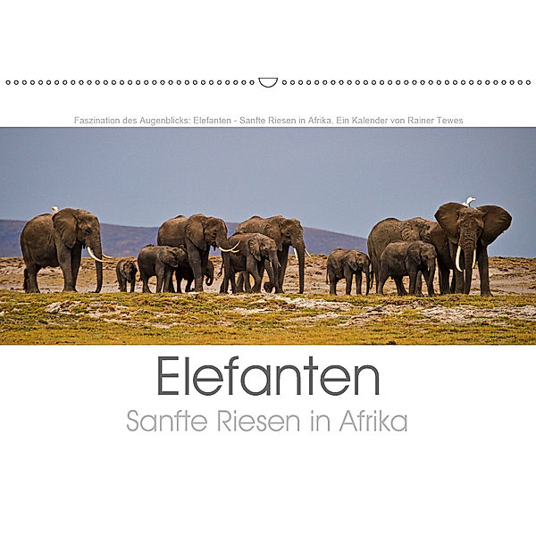 Elefanten - Sanfte Riesen in Afrika (Wandkalender 2019 DIN A2 quer), Rainer Tewes