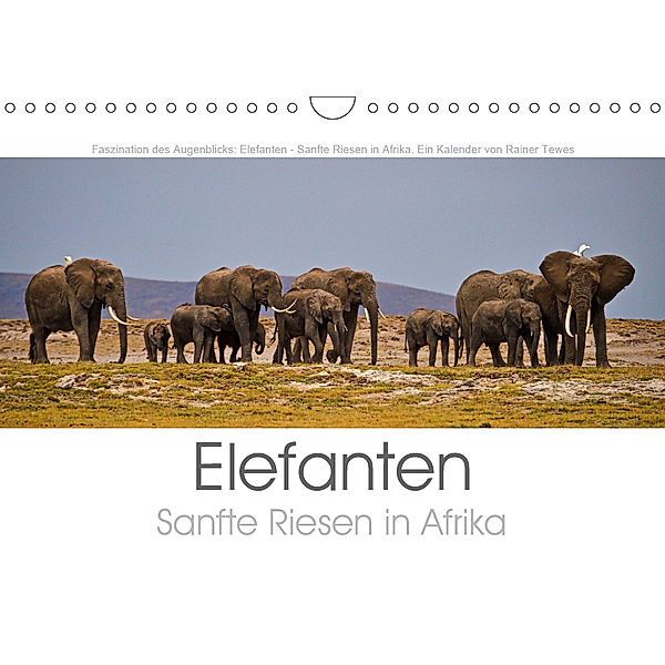 Elefanten - Sanfte Riesen in Afrika (Wandkalender 2019 DIN A4 quer), Rainer Tewes