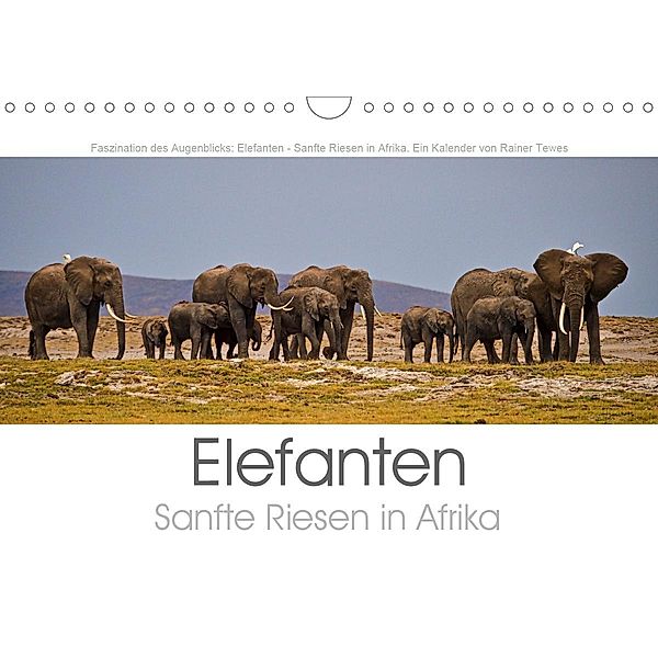 Elefanten - Sanfte Riesen in Afrika (Wandkalender 2020 DIN A4 quer), Rainer Tewes