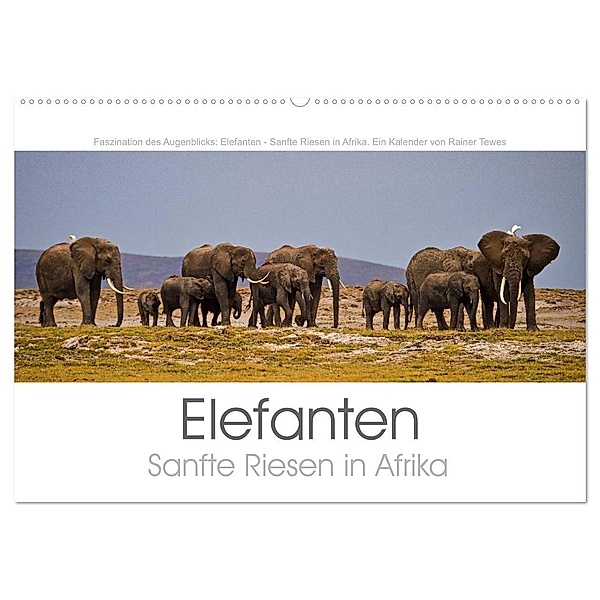 Elefanten - Sanfte Riesen in Afrika (Wandkalender 2024 DIN A2 quer), CALVENDO Monatskalender, Rainer Tewes