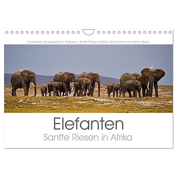 Elefanten - Sanfte Riesen in Afrika (Wandkalender 2024 DIN A4 quer), CALVENDO Monatskalender, Rainer Tewes