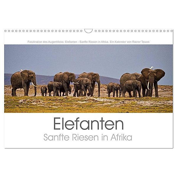 Elefanten - Sanfte Riesen in Afrika (Wandkalender 2024 DIN A3 quer), CALVENDO Monatskalender, Rainer Tewes