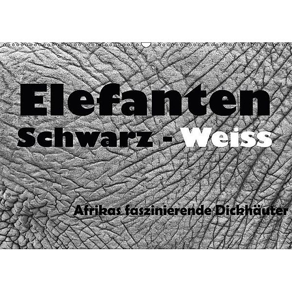 Elefanten Schwarz - Weiss (Wandkalender 2017 DIN A2 quer), Angelika Stern