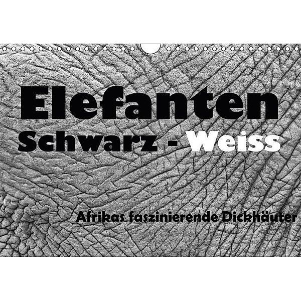 Elefanten Schwarz - Weiss (Wandkalender 2017 DIN A4 quer), Angelika Stern