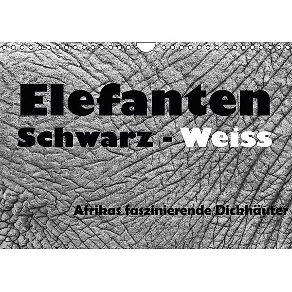 Elefanten Schwarz - Weiss (Wandkalender 2018 DIN A4 quer), Angelika Stern