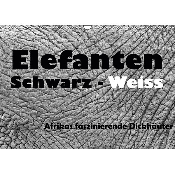 Elefanten Schwarz - Weiss (Wandkalender 2019 DIN A3 quer), Angelika Stern