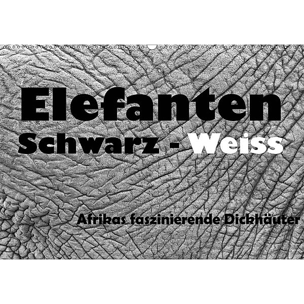 Elefanten Schwarz - Weiss (Wandkalender 2020 DIN A2 quer), Angelika Stern