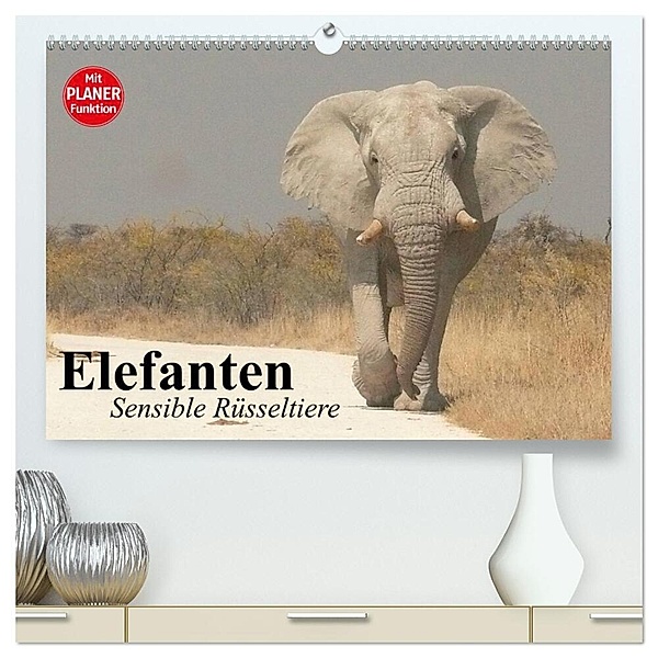 Elefanten. Sensible Rüsseltiere (hochwertiger Premium Wandkalender 2024 DIN A2 quer), Kunstdruck in Hochglanz, Elisabeth Stanzer